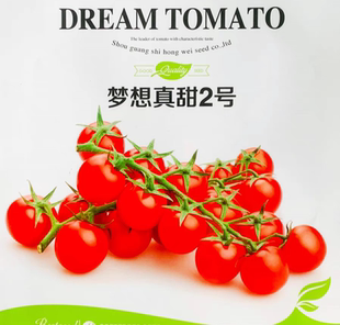 梦想真甜2号种子5粒5.60元 原包分装非常甜口感好风味佳抗病性强