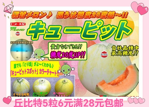 日本丘比特甜瓜种子5粒6元F1红瓤礼品甜瓜抗裂果满28元包邮