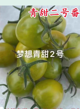 抗TY梦想青甜二号樱桃番茄种子5粒7元口感香甜糖度高28元包邮