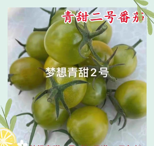 抗TY梦想青甜二号樱桃番茄种子5粒7元口感香甜糖度高28元包邮