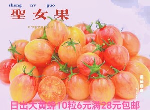 9传家宝番茄日出大黄蜂Sunrise-Bumblebee自留10粒6元28包邮