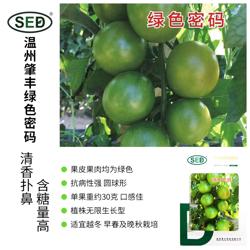 绿色密码小番茄种子5粒5元F1绿宝石樱桃番茄种子28元包邮