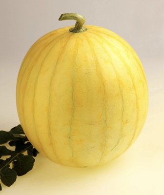 日本黄皮爱娘西瓜种子5粒3.9元礼品小西瓜满28元包邮