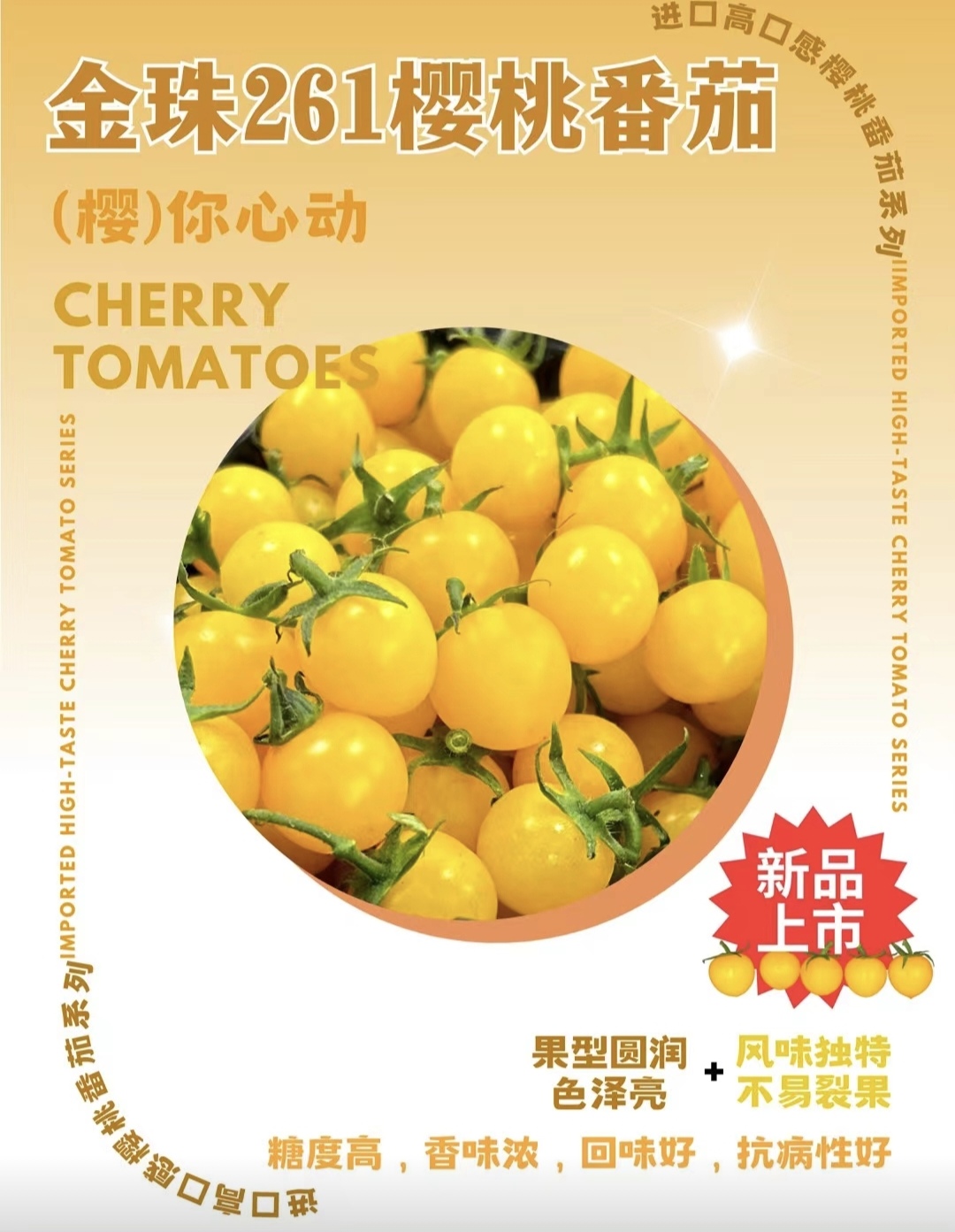 金珠261番茄种子5粒3.9元原包分装F1高甜可串收有香味