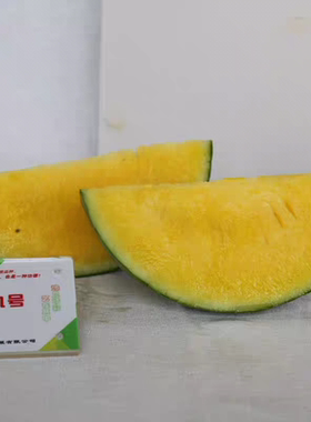 F1 豫艺瓜之宝九号西瓜种子5粒3元早熟绿皮黄瓤西瓜满28元包邮