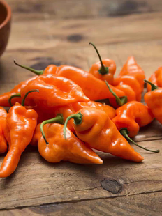 传家宝甜椒种子哈巴纳达4粒7元橙果香浓郁可盆栽