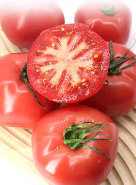 F1 日本武藏野抗TY水果番茄桃太郎7粒6元（28元包邮）