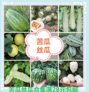 苦瓜丝瓜冬瓜西葫芦合集苹果苦瓜棱角长香牛奶白玉肉丝瓜西葫芦