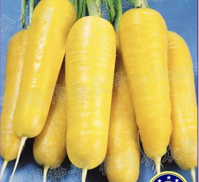 黄金胡萝卜种籽    原厂包装   2克4元,满28包邮
