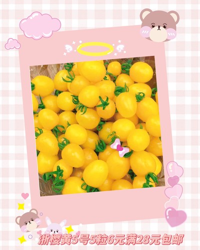 浙农浙樱黄5号番茄种子5粒6元原包分装F1口感好早熟高糖水果番茄