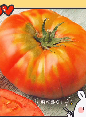 传家宝大番茄种子白兰地Brandywine8粒6元满28元包邮