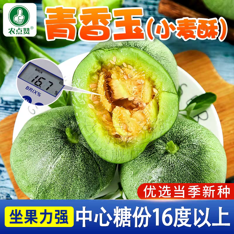 青香玉甜瓜种子100粒4.9元原包小麦酥绿皮绿瓤香瓜种籽耐重茬