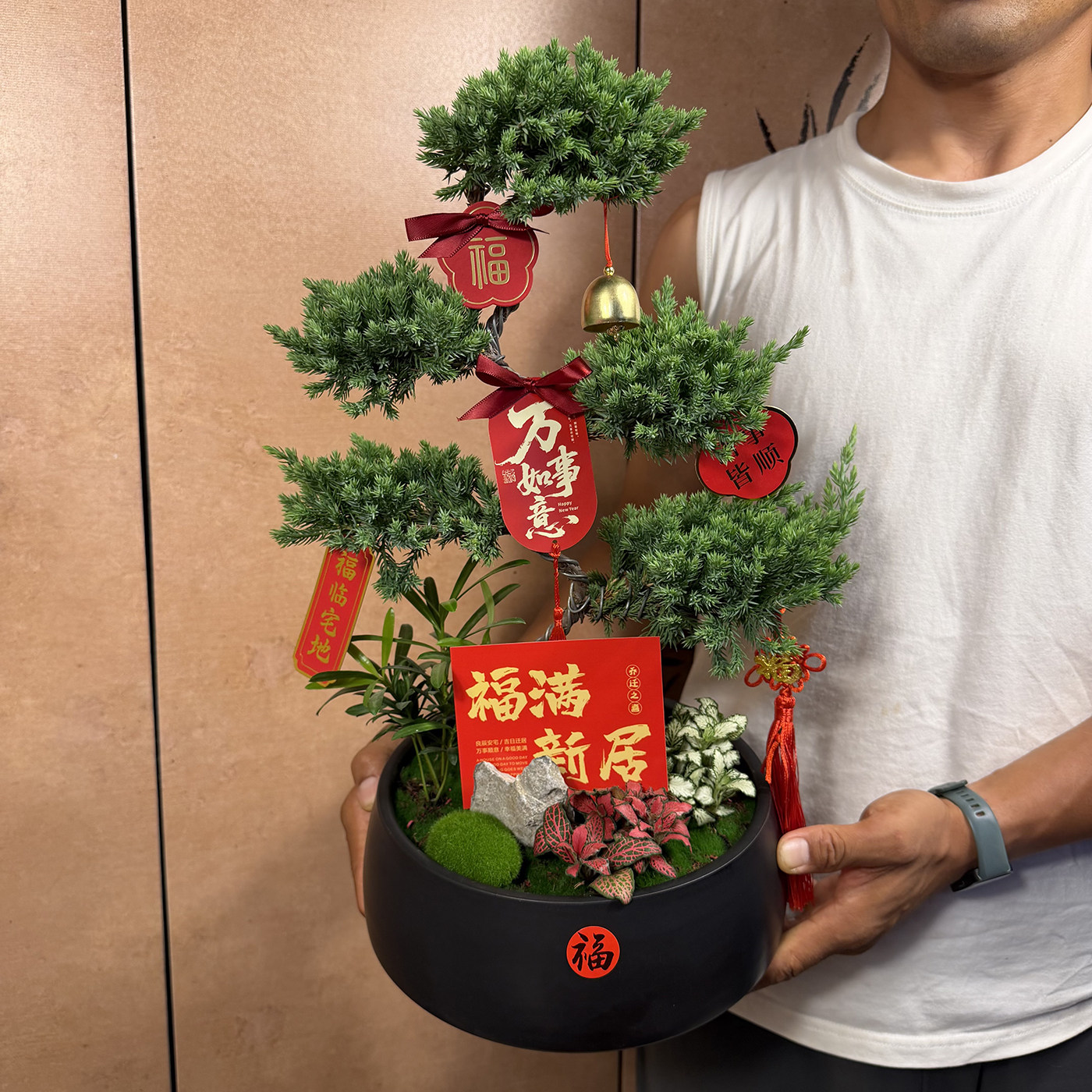 五层塔松盆景送长辈祝寿礼物生日礼物开业乔迁送领导退休礼教师节