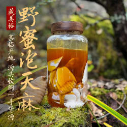 藏美裕 西藏林芝波密野生蜂蜜泡野生冬天麻 野生树洞蜜悬崖密泡麻