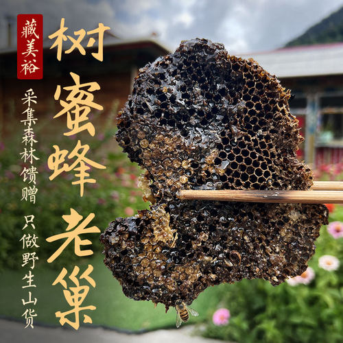 优选五年以上树洞老蜂巢泡酒佳品