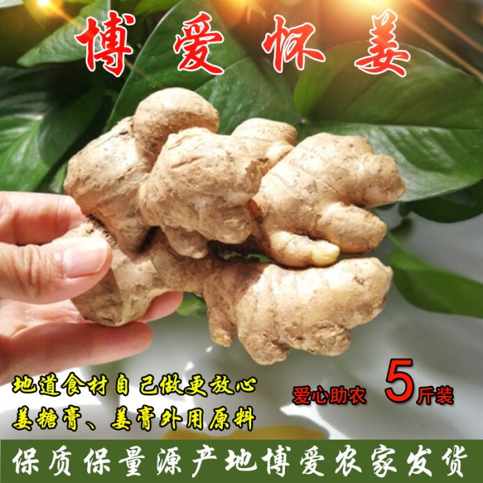 焦作特产新鲜怀姜生姜老姜怀姜糖膏原料调味鲜姜农产品五斤装包邮