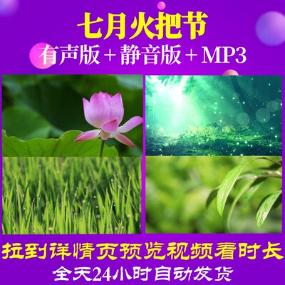 L65975Z七月火把节民族风竹林花草唯美风景背景儿童节素材视频六