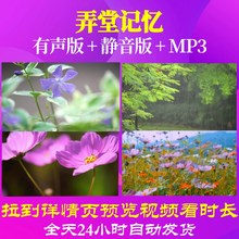 L65974Z弄堂记忆民族风竹林花草唯美风景视频儿童节背景素材朗诵