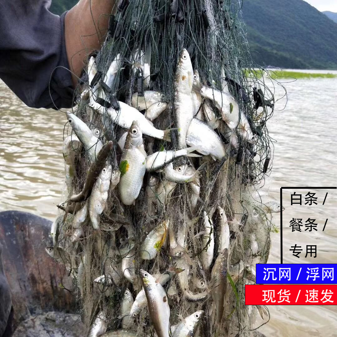 1.5米高-2米高单层粘网白条网半指指1.5柔丝捕鱼网鱼浮网沉网渔网