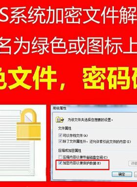EFS加密解密 绿色文件夹有锁保护 RAR压缩包解密XLSX PDF密码DOCX