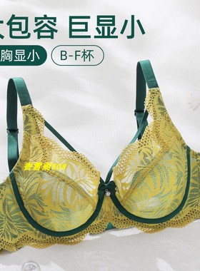 伊丝艾拉5829 BCDEF单层超薄杯大包容稳承托大胸文胸正品