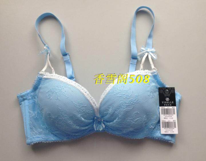 专柜正品伊丝艾拉18014 AB厚杯性感聚拢文胸小胸水袋杯内衣