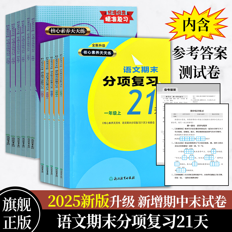 语文期末分项总复习21天人教版