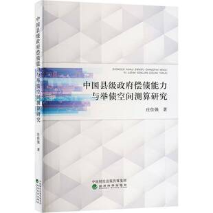 RT69包邮 中国县级偿债能力与举债空间测算研究经济科学出版社经济图书书籍