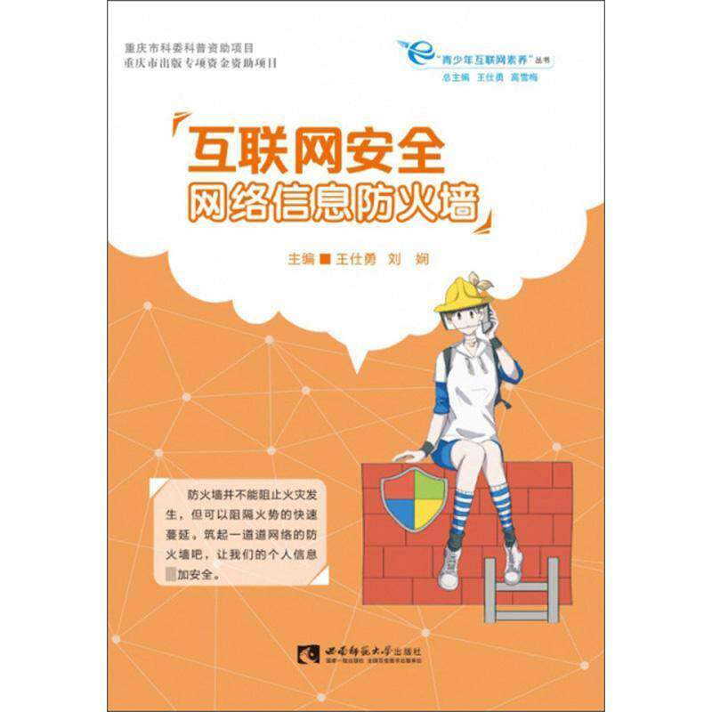 RT69包邮 互联网：网络信息防火墙西南师范大学出版社计算机与网络图书书籍