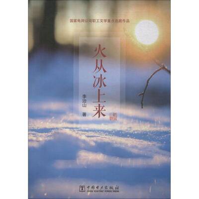 RT69包邮 火从冰上来中国电力出版社小说图书书籍