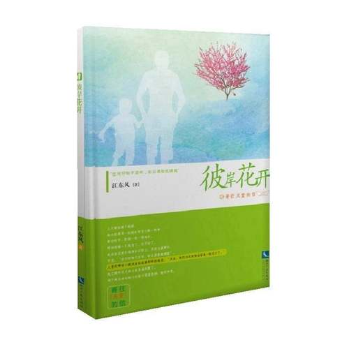 RT69包邮 彼岸花开知识产权出版社文学图书书籍