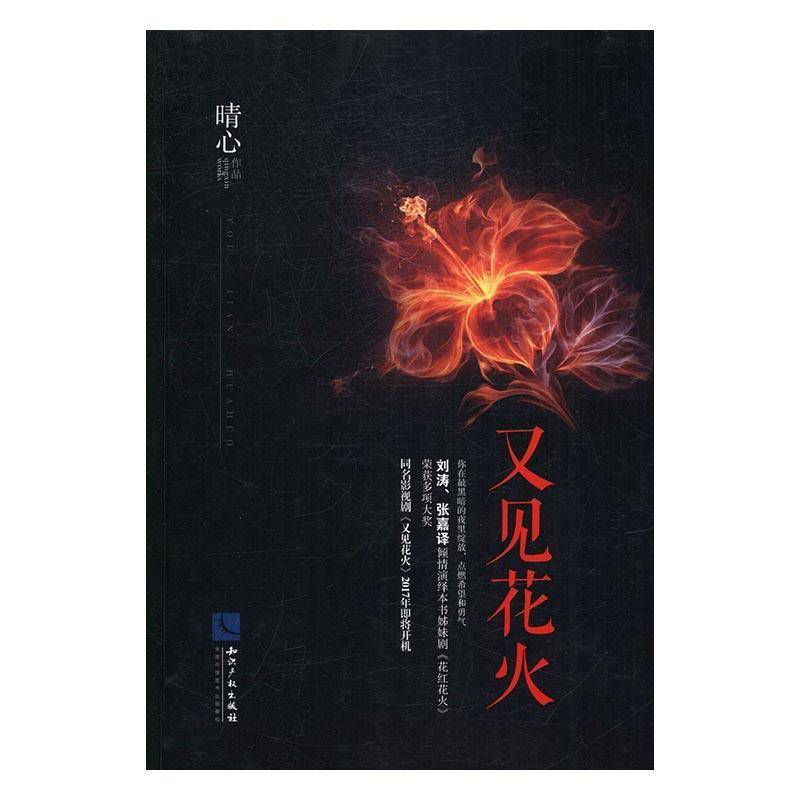 RT69包邮 又见花火知识产权出版社小说图书书籍