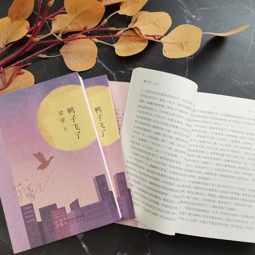 RT69包邮 鸭子飞了河北教育出版社小说图书书籍