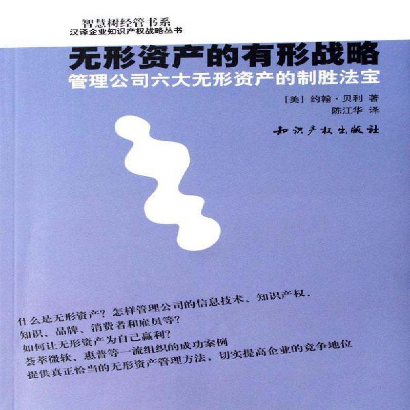 RT69包邮 无形资产的有形战略:管理公司六大无形资产的制胜法宝知识产权出版社管理图书书籍