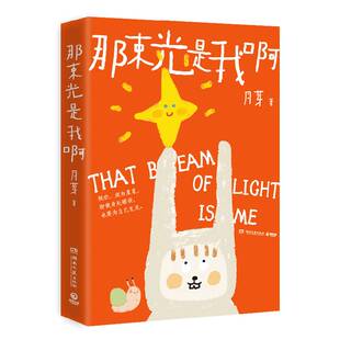 RT69包邮 那束光是我啊湖南文艺出版社图书图书书籍