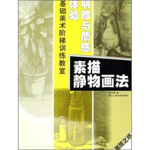 素描静物画法浙江人民社艺术图书书籍 体验明暗与质感 RT69 包邮