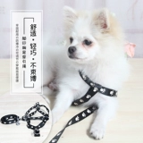 Ходячая собачья веревка маленькая собака Тедди собака