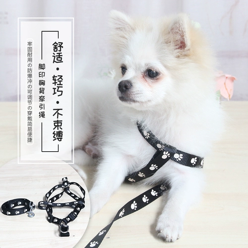 Ходячая собачья веревка маленькая собака Тедди собака