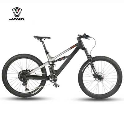 JAVA碳纤维车架双碟刹禧玛诺12速