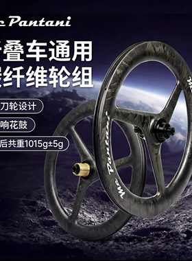 潘塔尼 JAVA NEO3专用16/20寸桶轴碟刹碳纤维三刀轮组前74后142