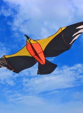 户外老鹰风筝大海燕前撑杆大型成人大人专业微风好飞20223新款潍