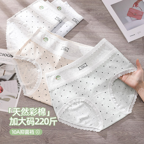 60支彩棉波点大码内裤女新款纯棉