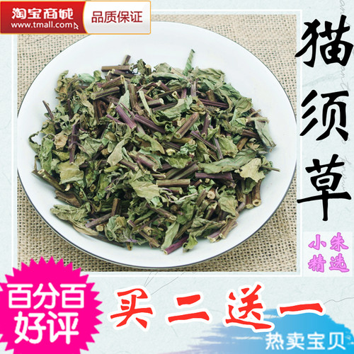 猫须草云南西双版纳茶非盆栽