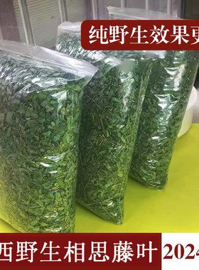 灵山特产相思藤叶生晒相思藤泡水泡茶喝甘甘甜甜500克包邮相思藤