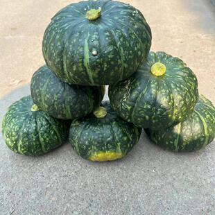 东北特产新鲜谢花面南瓜窝瓜新鲜甜面糯绿皮黄肉老品种矮瓜