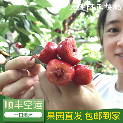 大连沙蜜豆樱桃心形新鲜水果