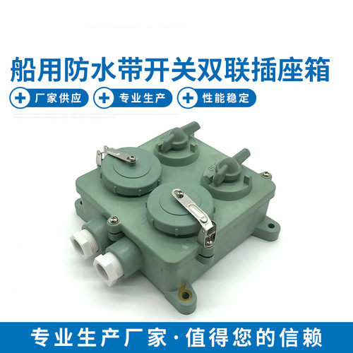 电气CZXS树脂船用水密带开关双联插座箱/插座20A/250V/3P正品