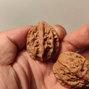 野生招财鼠文玩核桃手把件蚂蚁纹京八棱小核桃秋子精品小狮子头