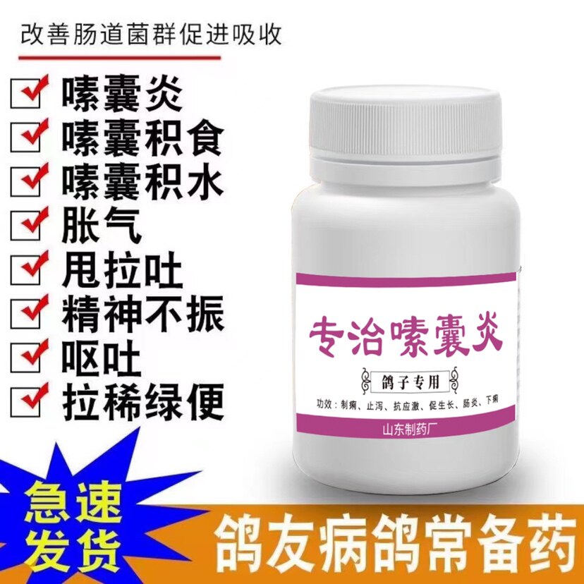 欧鸽德黄便水便绿便鸽子药活菌王信赛鸽鸽药大全常见病专用