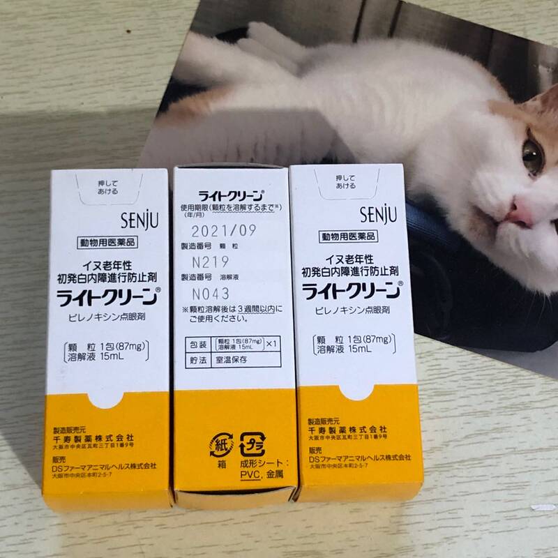 白内障眼药日本素材模板-白内障眼药日本图片下载- 小麦优选